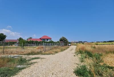 Teren Construcții intravilan de 5000 mp, în Lazu - 3