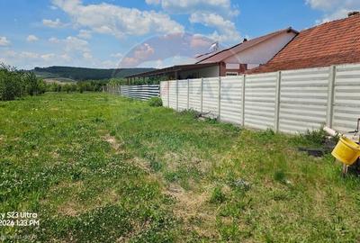 Teren Construcții intravilan de 1186 mp, în Ineu - 9