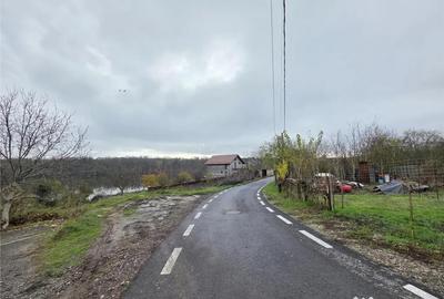 Teren de 16000 mp, în Brănești - 2