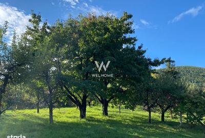 Spațiu comercial, în Central - 1