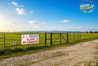 Teren Construcții intravilan de 2498 mp, în Chilieni - 3