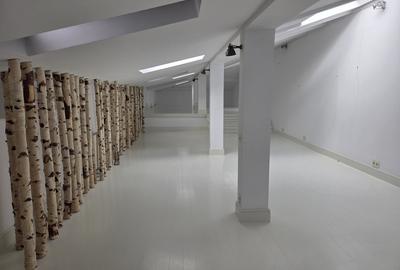 Vila interbelica de inchiriat/pretabila activitati comerciale/Victoriei - 17