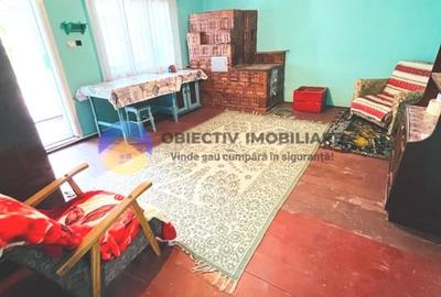 Casa VANATORI-NEAMT langa orasul TARGU NEAMT - 10