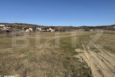 Teren de 5800 mp, în Hereclean