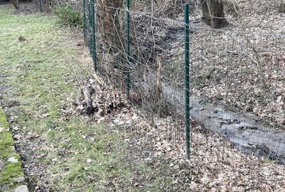 Casă cu Teren 2388 Mp în Fântânele - 3