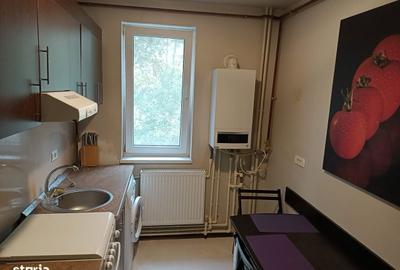 Apartament cu 2 camere, mobilat în City Park Mall - 10