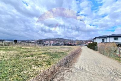 Teren Construcții intravilan de 2286 mp, în Vest - 8