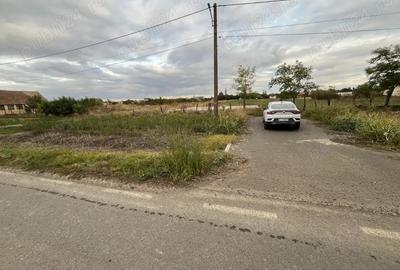 Teren de 3000 mp, în Checea