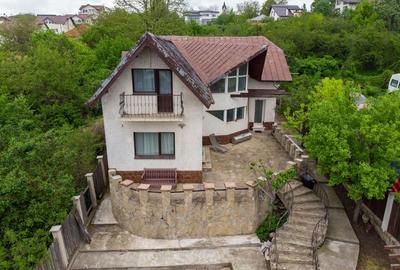 Spațiu comercial, de 190 mp, în Valea Lupului - 1