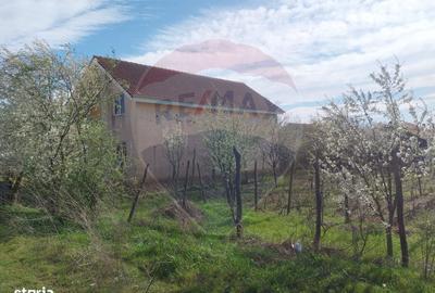 Casă cu 4 camere în Ișalnița - 14