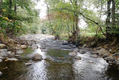 Teren 2,932mp Sarbi (Budesti) / Drumul Principal - 1