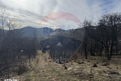 Teren de 1271 mp, în Livezile - 14