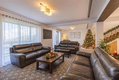 Spațiu comercial, de 400 mp, în Bran - 4