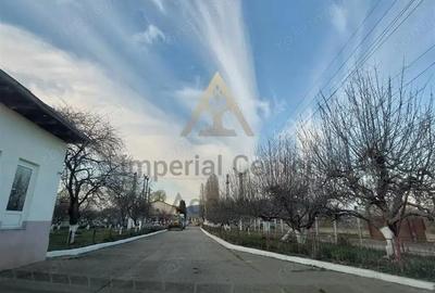 Teren de 46000 mp, în Central - 1