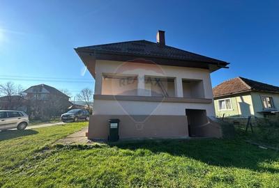 DE VANZARE- GOSPODARIE cu 95 arii teren - 12