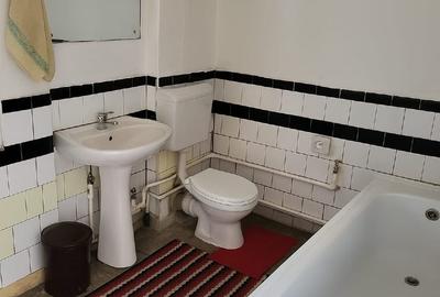 Casa Alexandru Iliescu - 12