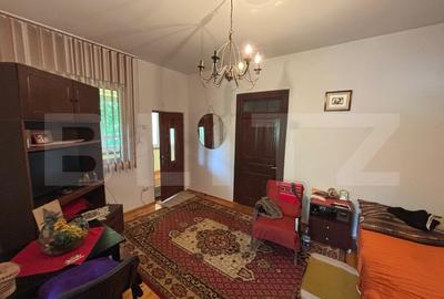 Vila de vanzare, cu 4 camere, 320 mp, zona Șuvita - 3