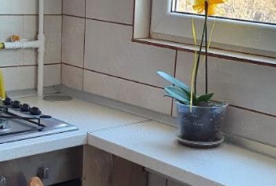 Se inchiriaza garsoniera in zona Pajura, Faurei - 1