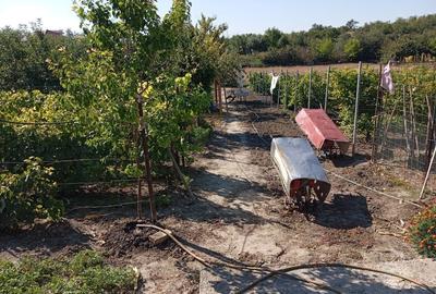 Casă cu 4 camere în Daia - 5