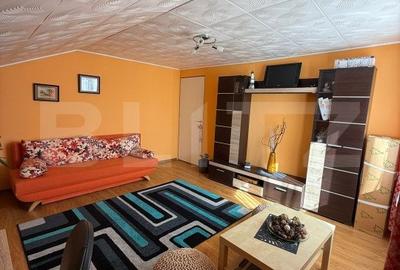 Casa P+M,  zona Romanesti, la cheie - 2