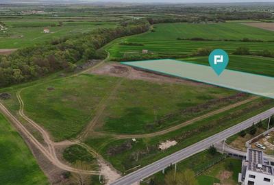 Teren de 5800 mp, în Remetea Mare - 3