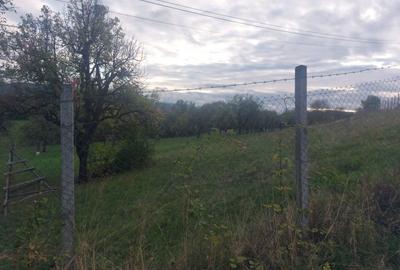 Teren Josenii Bargaului - 1