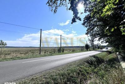 Spațiu comercial, în Central