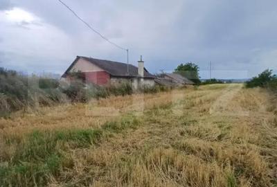 Teren de 6000 mp, în Turda - 4