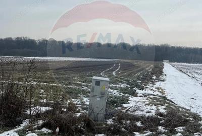 Teren de 6210 mp, în Ciolpani - 6