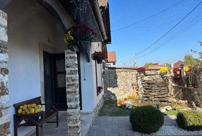 Vand vila noua P+M,an constructie 2015,suprafata construita 180 mp.,caramida porotherm cu izolatii Vand vila noua P+M,an constructie 2015,suprafata construita 180 mp.,caramida porotherm cu izolatii - 3