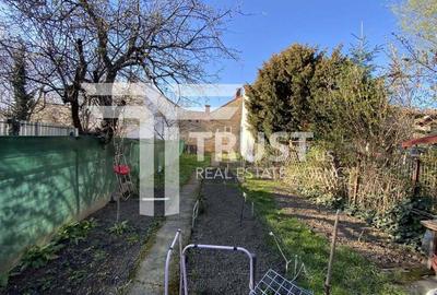 Comision 0% | Casa Individuala | Anexa | Pivnita | 230mp | Balcescu - 19