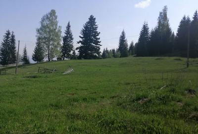 Spațiu comercial, în Șaru Dornei - 4