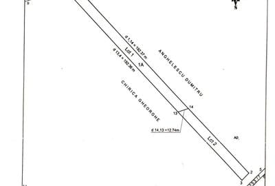 Teren Construcții intravilan de 2200 mp, în Domnești - 6