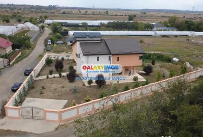 Casă cu 5 camere cu Teren 1300 Mp în Mihăilești - 2