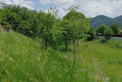 Teren intravilan Viisoara - 2