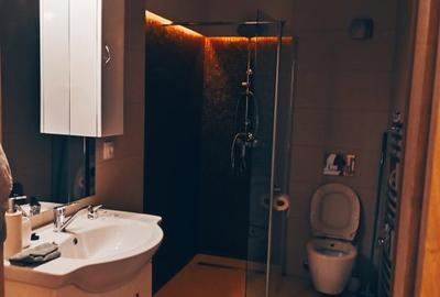 Apartament cu 2 camere decomandat, mobilat în Banat - 13