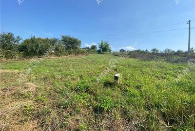 Teren intravilan cu acces utilitati in Sura Mare din Sibiu Teren intravilan cu acces utilitati in Sura Mare din Sibiu - 2