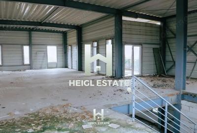 Casă cu Teren 6802 Mp în Albina - 6