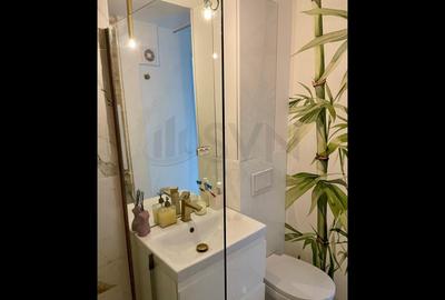 Apartament cu 2 camere decomandat, mobilat în Lacul Tei - 9