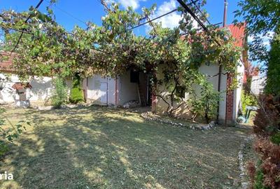 Casă cu 2 camere cu Teren 676 Mp în Sâmbăta - 10