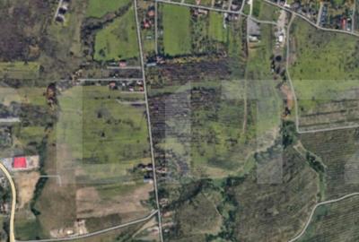 Teren de 2500 mp, în Bună Ziua