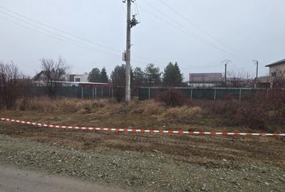 2 loturi 1000 mp Strada Pinului - 1 Decembrie - 7