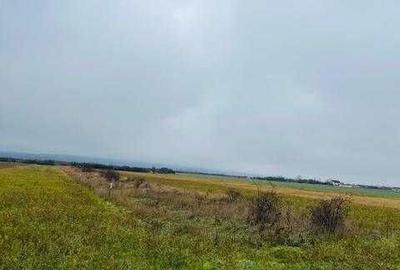 Spațiu comercial, în Central - 1