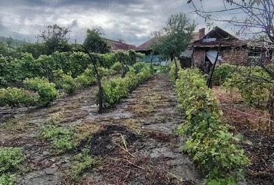 Casă cu 6 camere în Diviciorii Mici