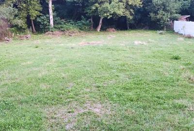 Casă cu 4 camere în Central - 2