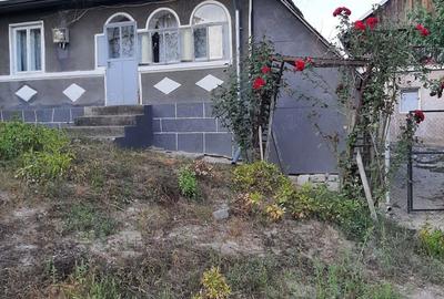 Gospodarie | 315mp | 12 500mp | Ramnicu Valcea - Copacelu | Proprietar - 3