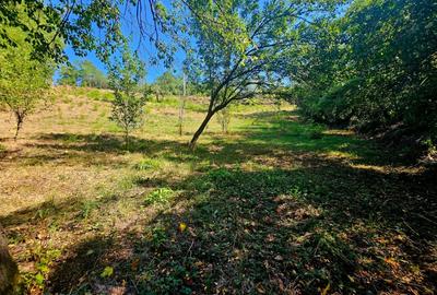 Teren intravilan 2322 mp, Păcuri – vedere superbă spre pădure! - 7