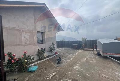 Casa 2 camere Carligele - 11