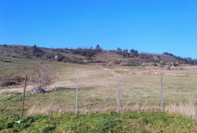 Spațiu comercial, în Fodora