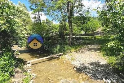 CASA traditionala BICAZU ARDELEAN + teren extravilan 1,6 hectare - 10